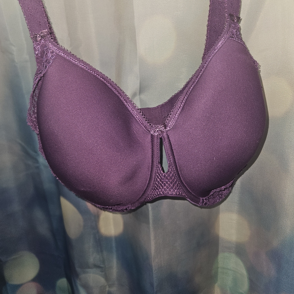 Elomi, Curvey Kate and More! In Red, Blue, Green, and Purple. (6) Size: 34K - Picture 3 of 16